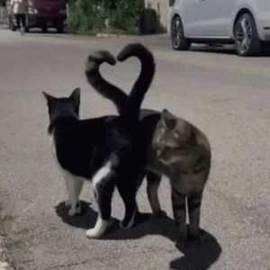 Meet your Posher, Karly